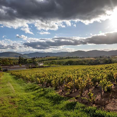 Régnié Les Glycines - Domaine Gilles Coperet Bed & Breakfast エクステリア 写真