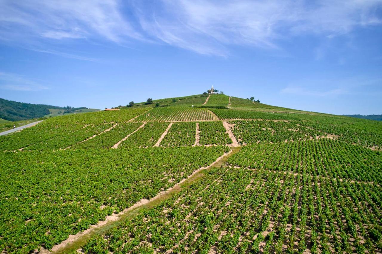 Régnié Les Glycines - Domaine Gilles Coperet Bed & Breakfast エクステリア 写真