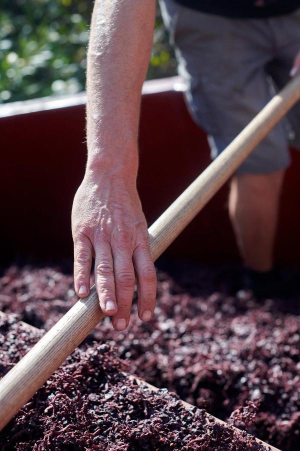 Régnié Les Glycines - Domaine Gilles Coperet Bed & Breakfast エクステリア 写真