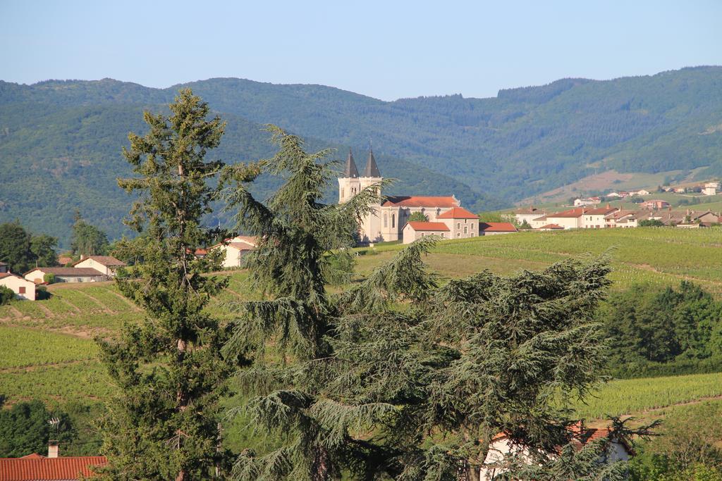 Régnié Les Glycines - Domaine Gilles Coperet Bed & Breakfast エクステリア 写真